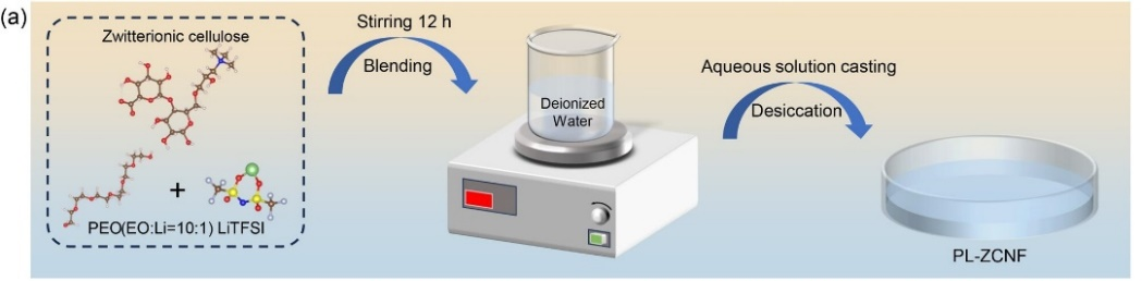 通过水溶液浇筑法实现基于两性离子纤维素基聚合物电解质的高性能固态电池2.png